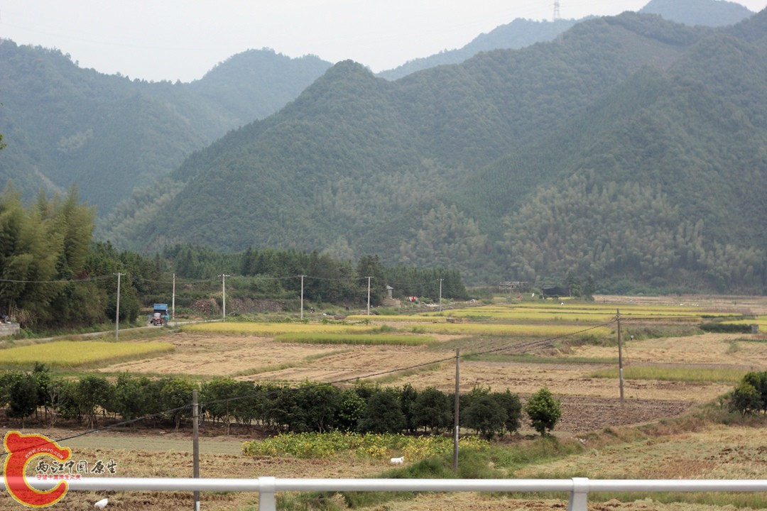 IMG_1322_副本.jpg