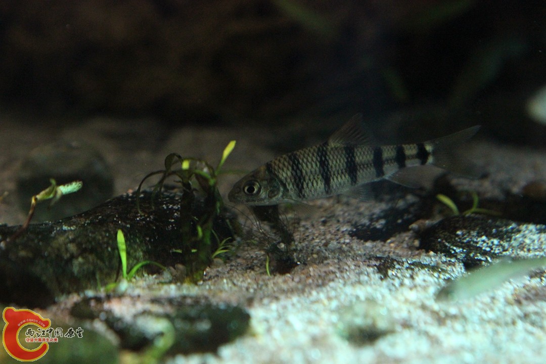 IMG_1407_副本.jpg