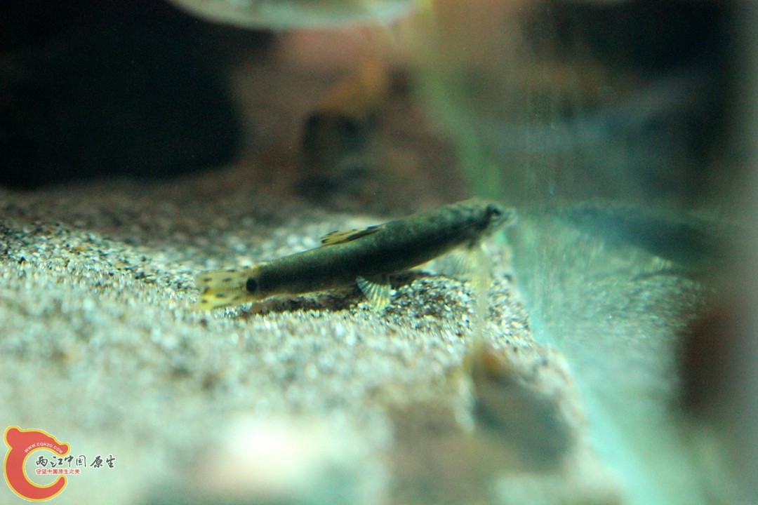 IMG_1419_副本.jpg