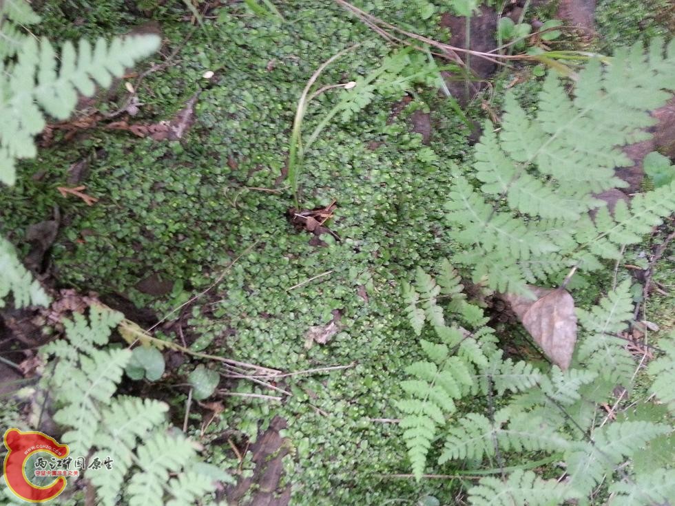 20120201_143600.jpg