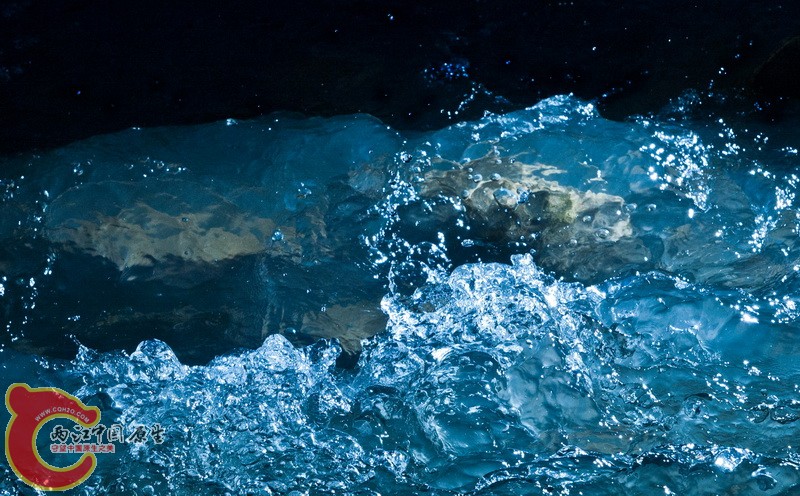 DSC_3787.jpg