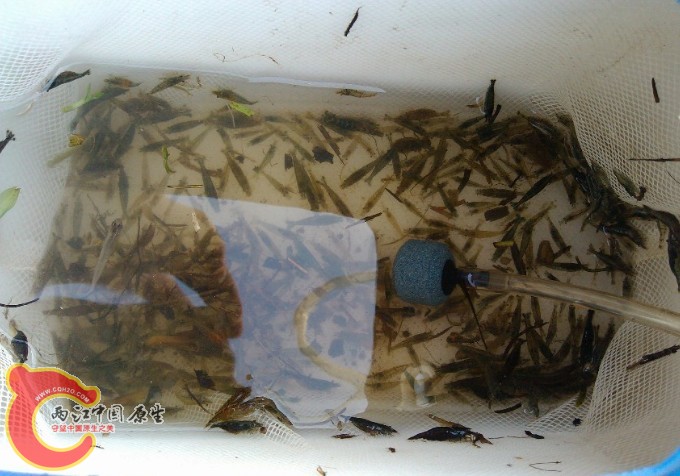QQ图片20131007200951.jpg