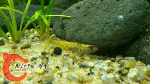 手机拍的，不是很清清楚。