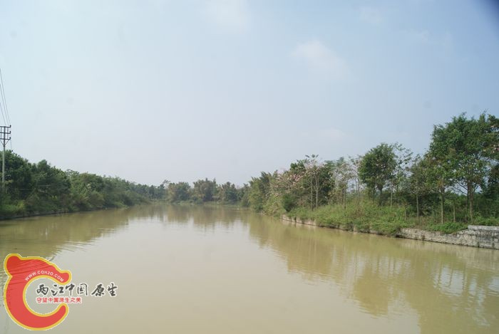 01.jpg