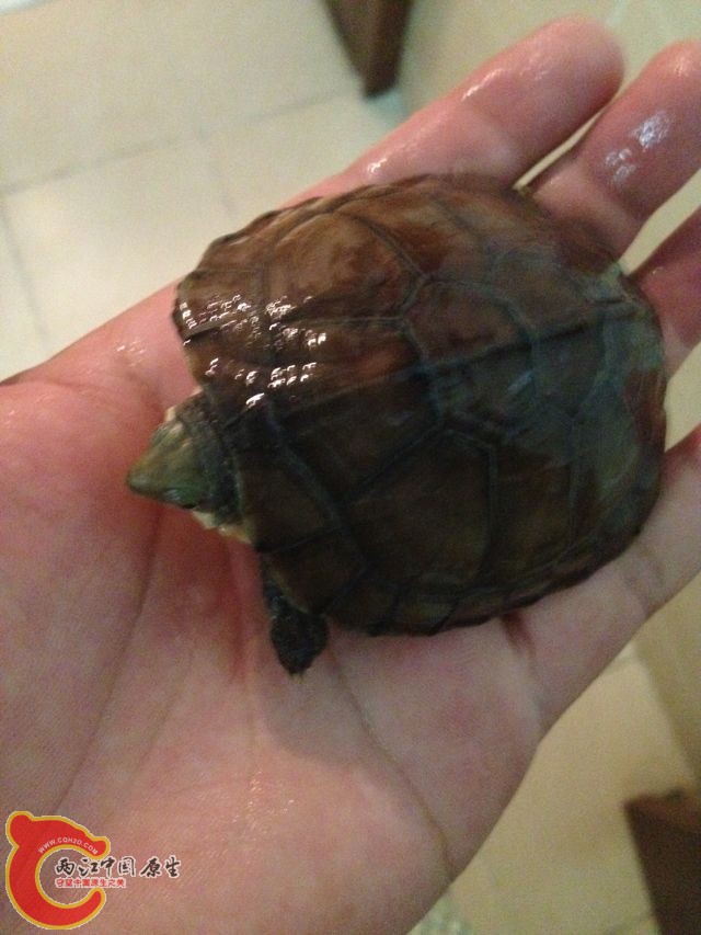 QQ图片20131009140020.jpg
