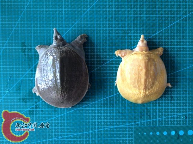 QQ图片20131009142943.jpg