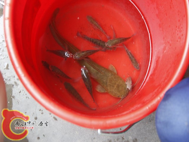 照片 007.jpg