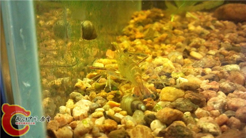 2013-10-11_20-28-49_33.jpg
