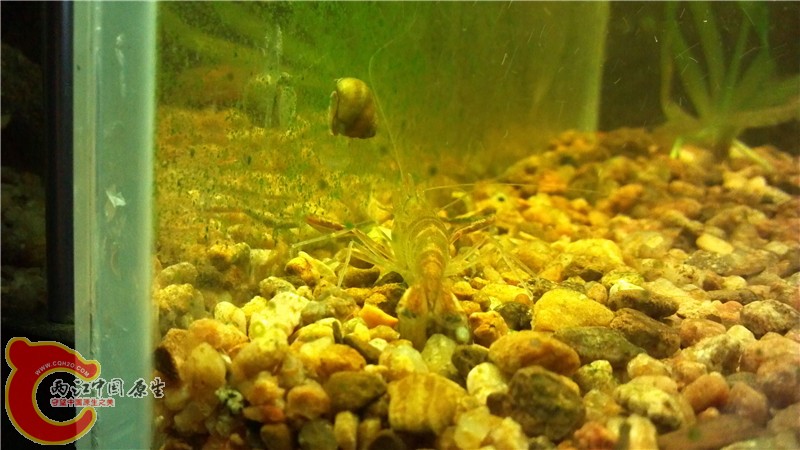 2013-10-11_20-29-01_895.jpg