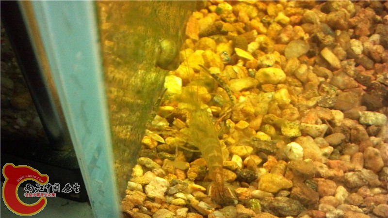 2013-10-11_20-29-21_184.jpg