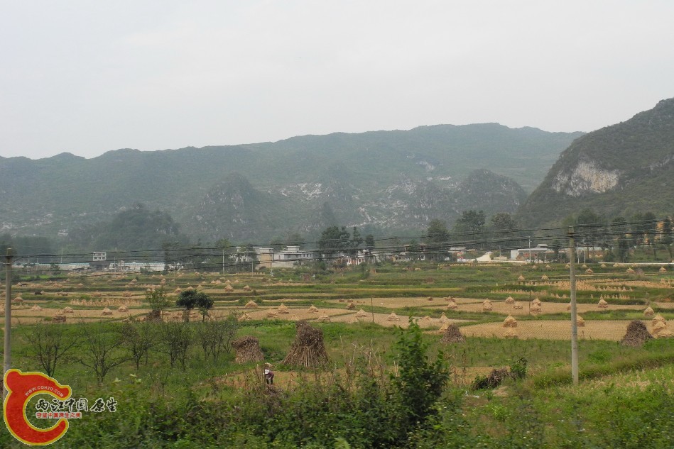 沿途风景3