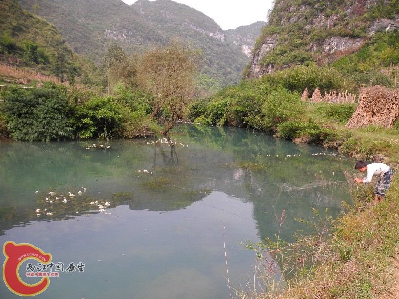 小网民2
