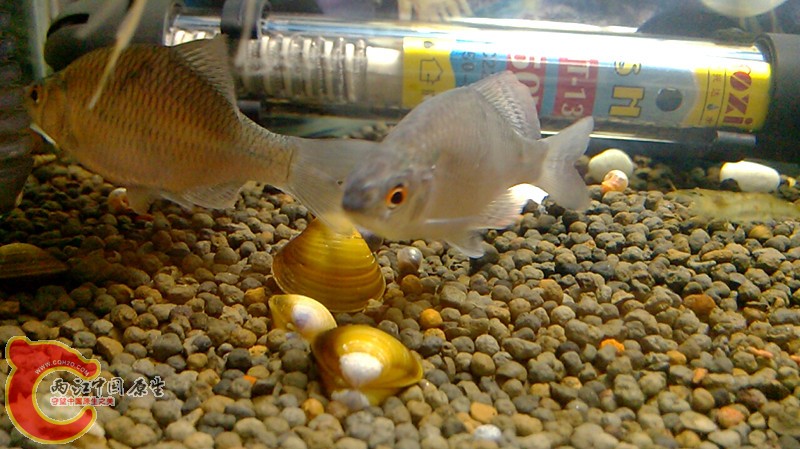 2013-10-12 05-58-13-965.jpg