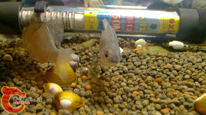 2013-10-12 05-58-17-580.jpg