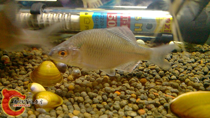 2013-10-12 05-58-27-405.jpg