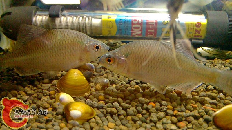 2013-10-12 05-58-30-602.jpg