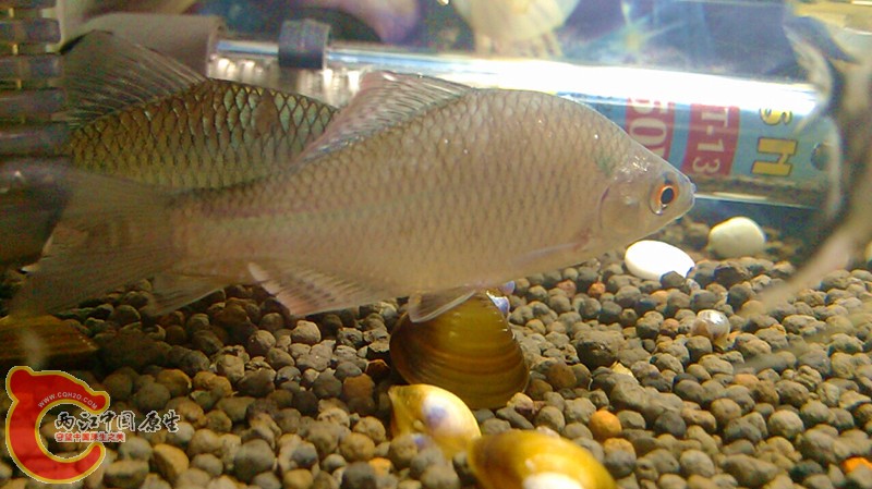 2013-10-12 05-59-33-283.jpg