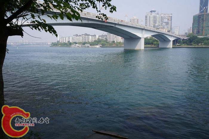 DSC04746.jpg