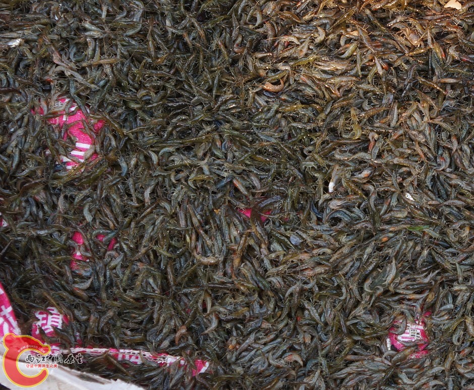 注意看