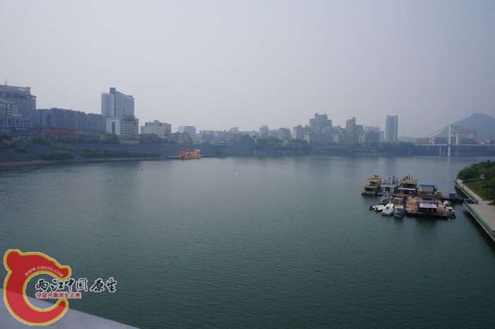 DSC04785.jpg