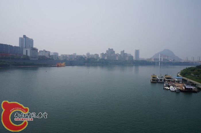 DSC04791.jpg
