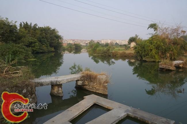 DSC04872.jpg