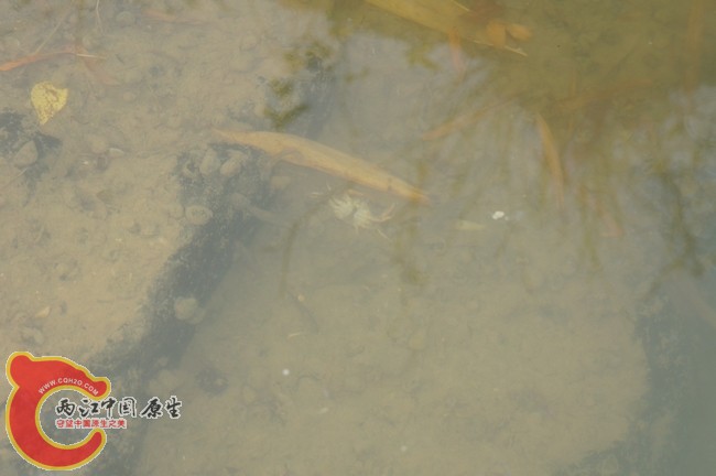 DSC04900.jpg