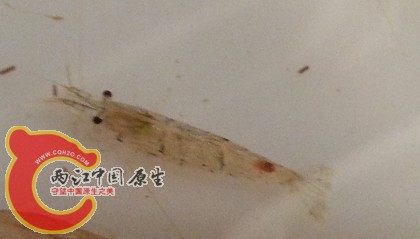 QQ截图20131013184045.jpg