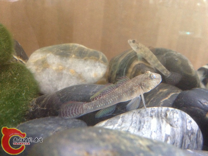 照片 006_副本.jpg