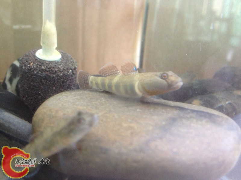 照片 002_副本.jpg