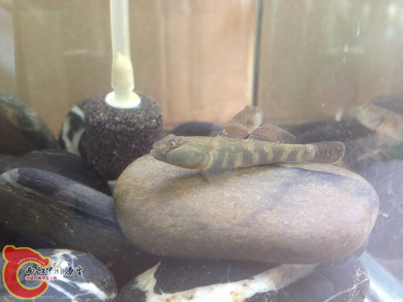 照片 004_副本.jpg