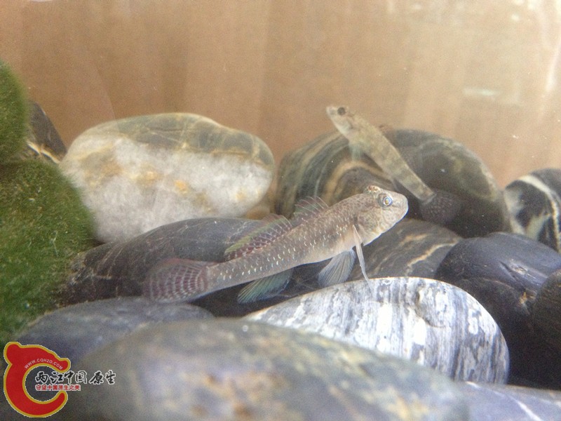 照片 005_副本.jpg