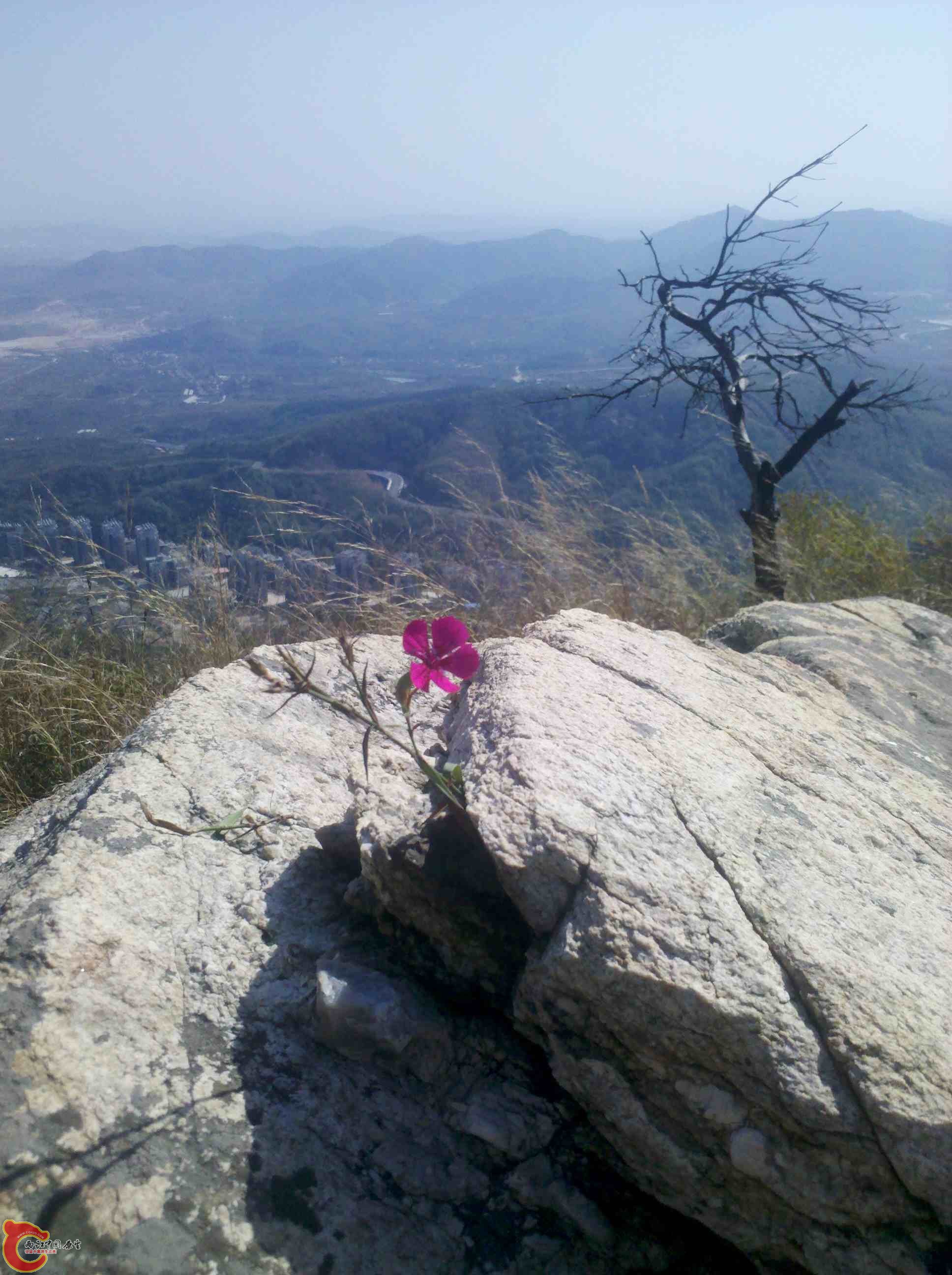 IMG_20131013_104913.jpg