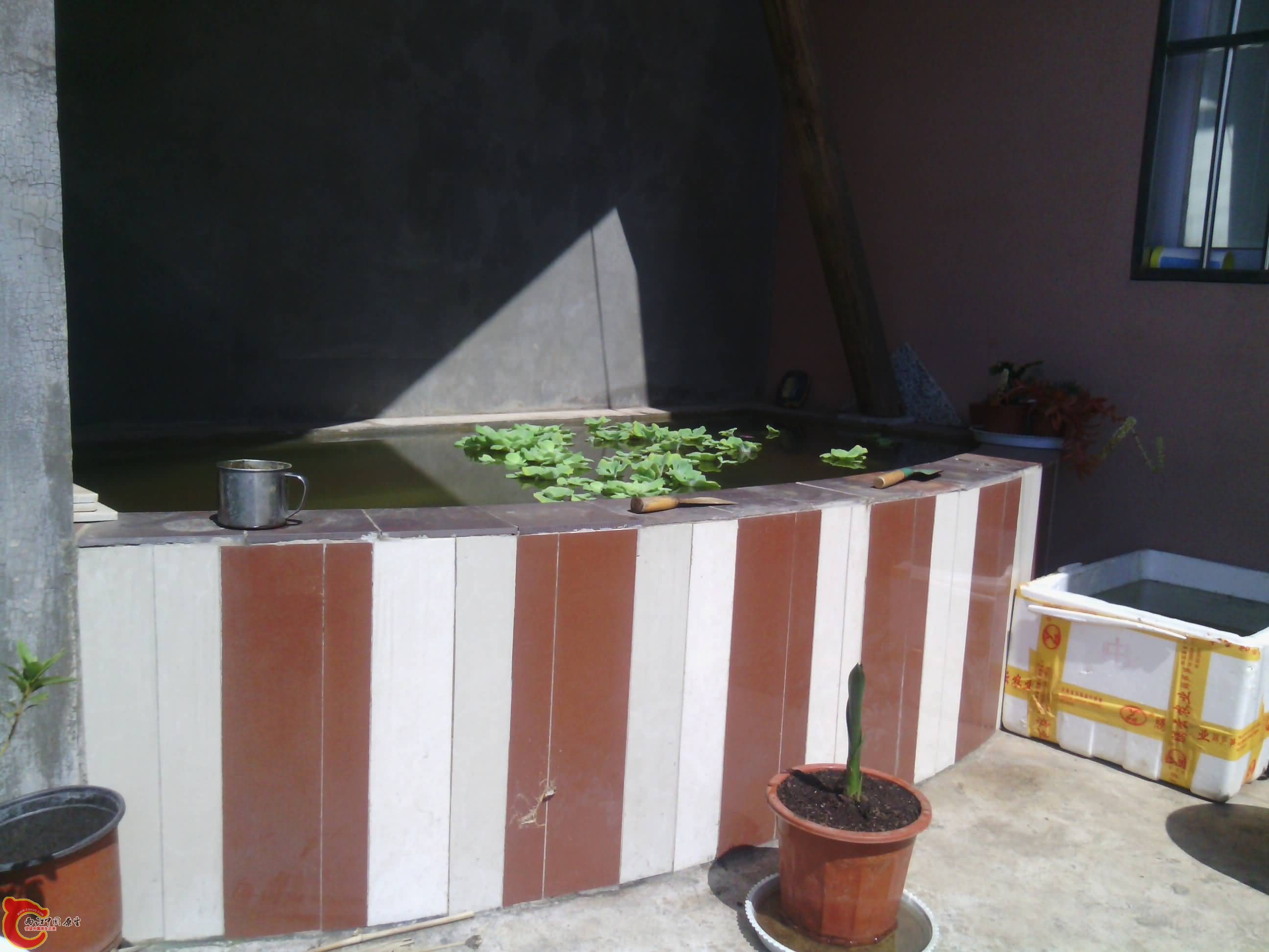 IMG_20130929_112904.jpg