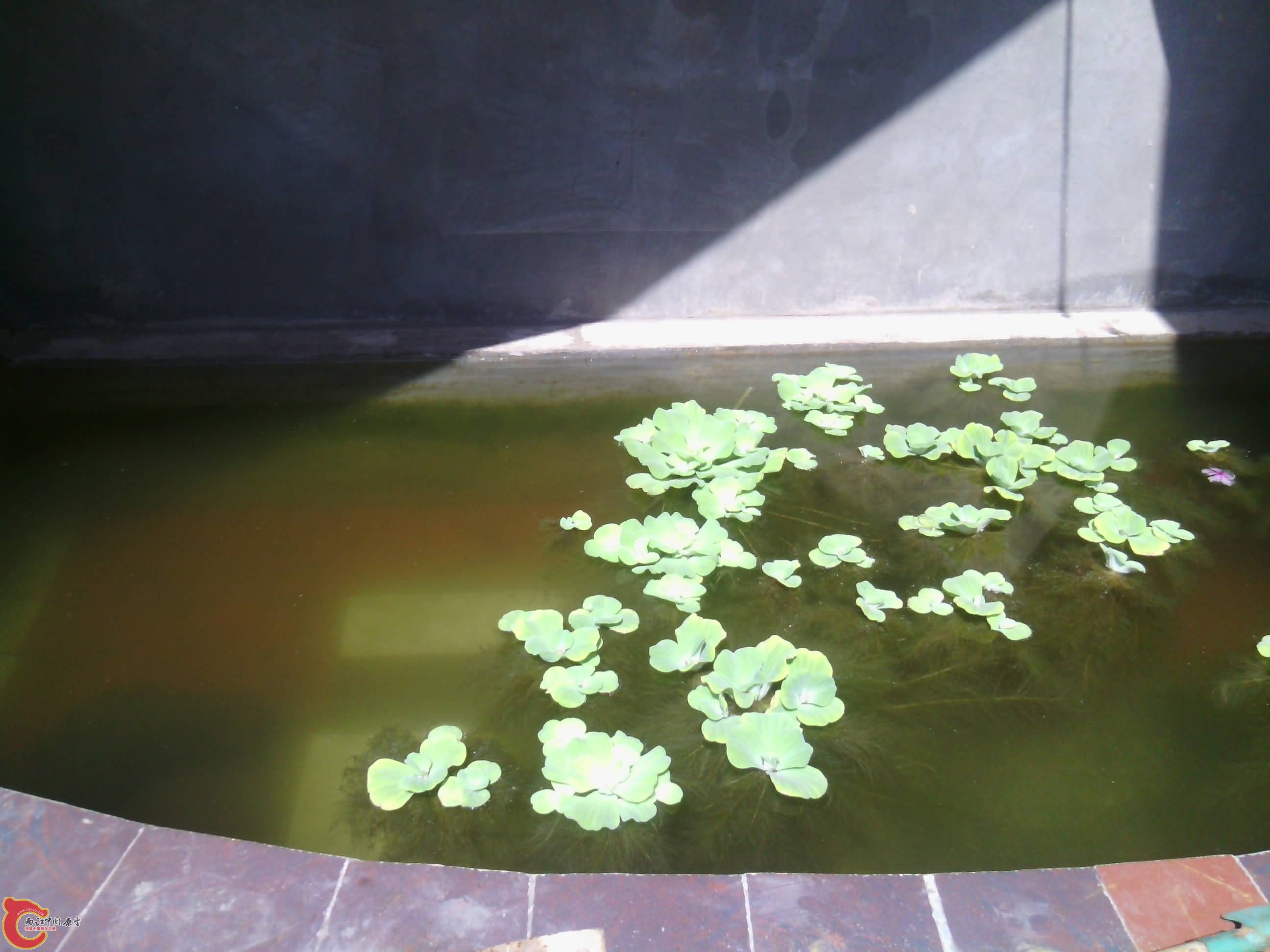 IMG_20130929_112929.jpg
