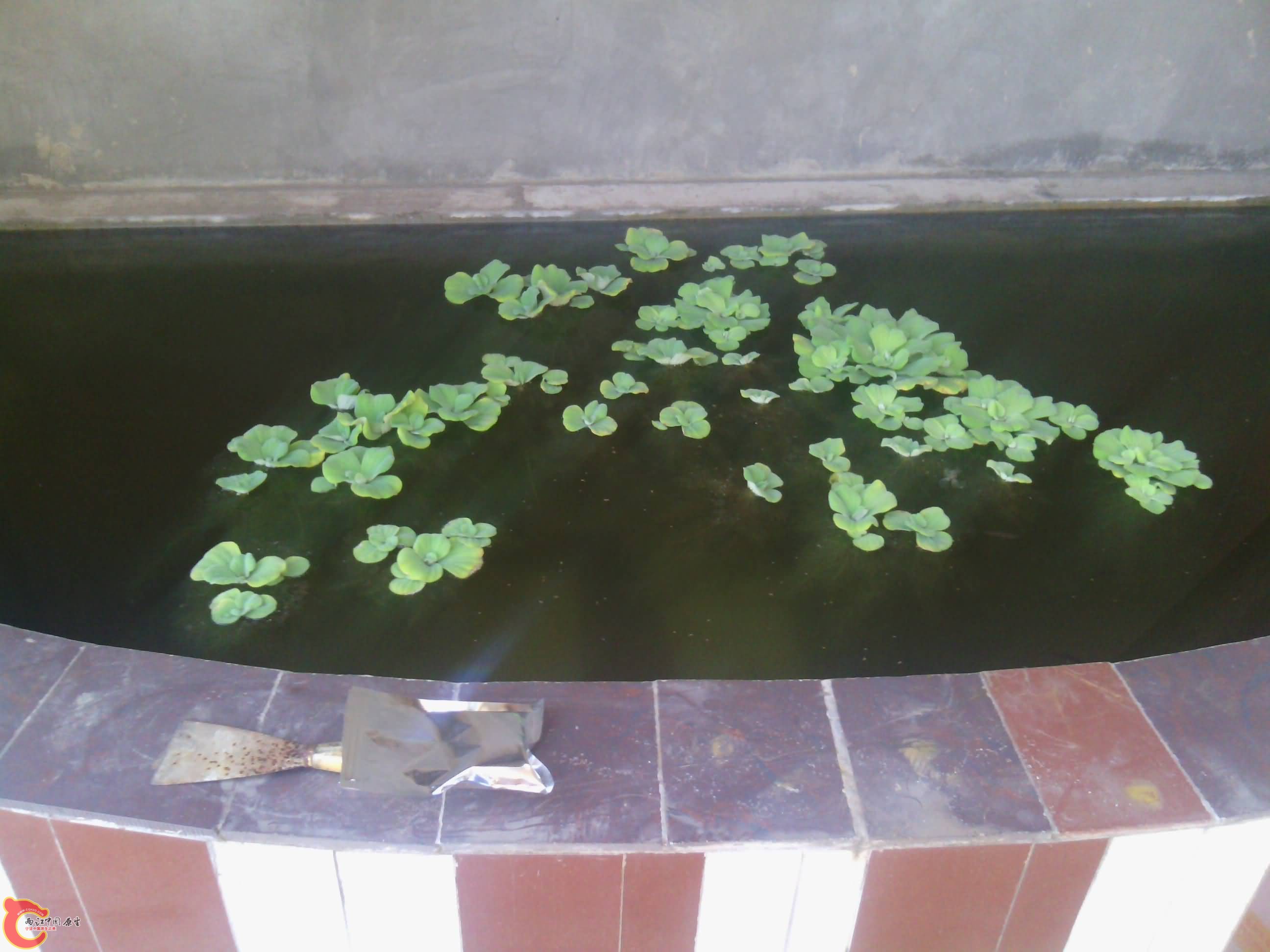 IMG_20130930_174350.jpg