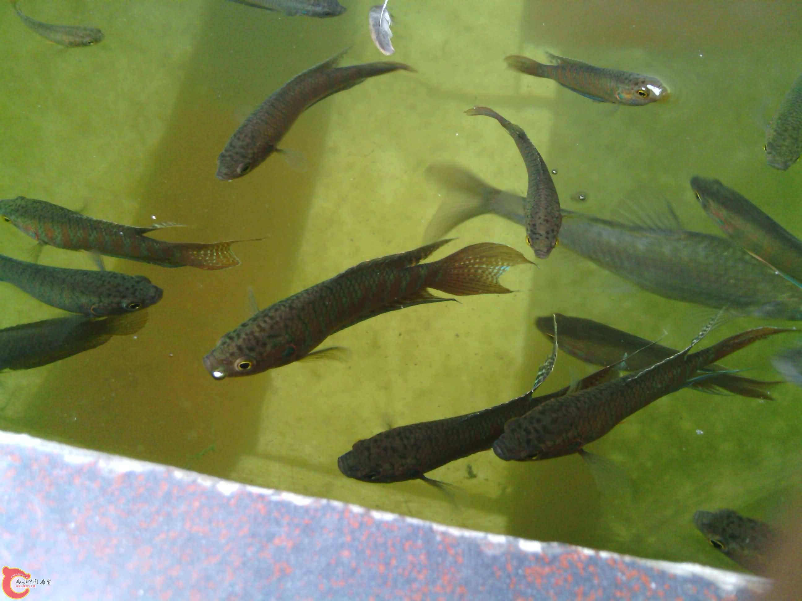 IMG_20130809_154844.jpg