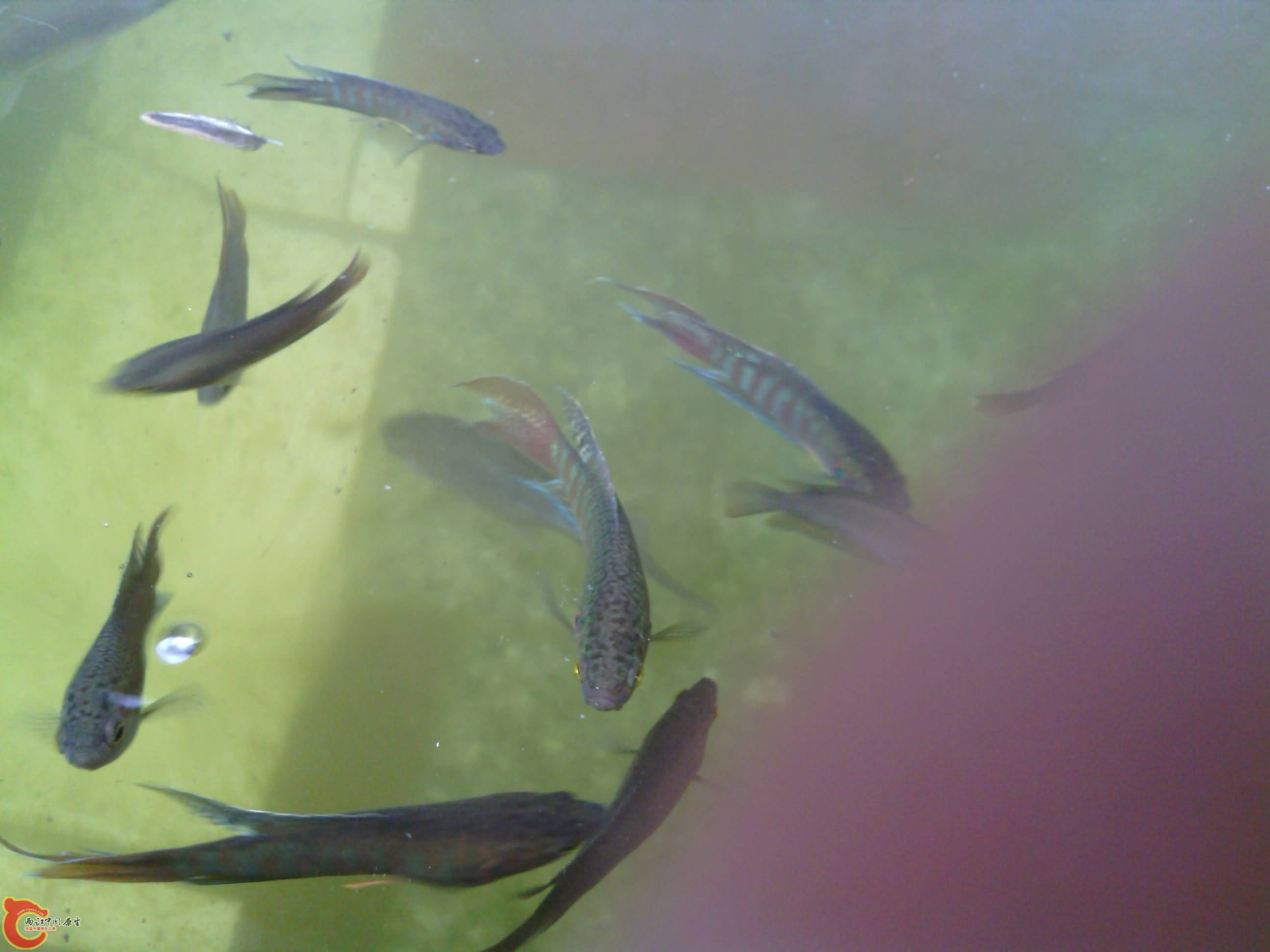 IMG_20130809_155007.jpg