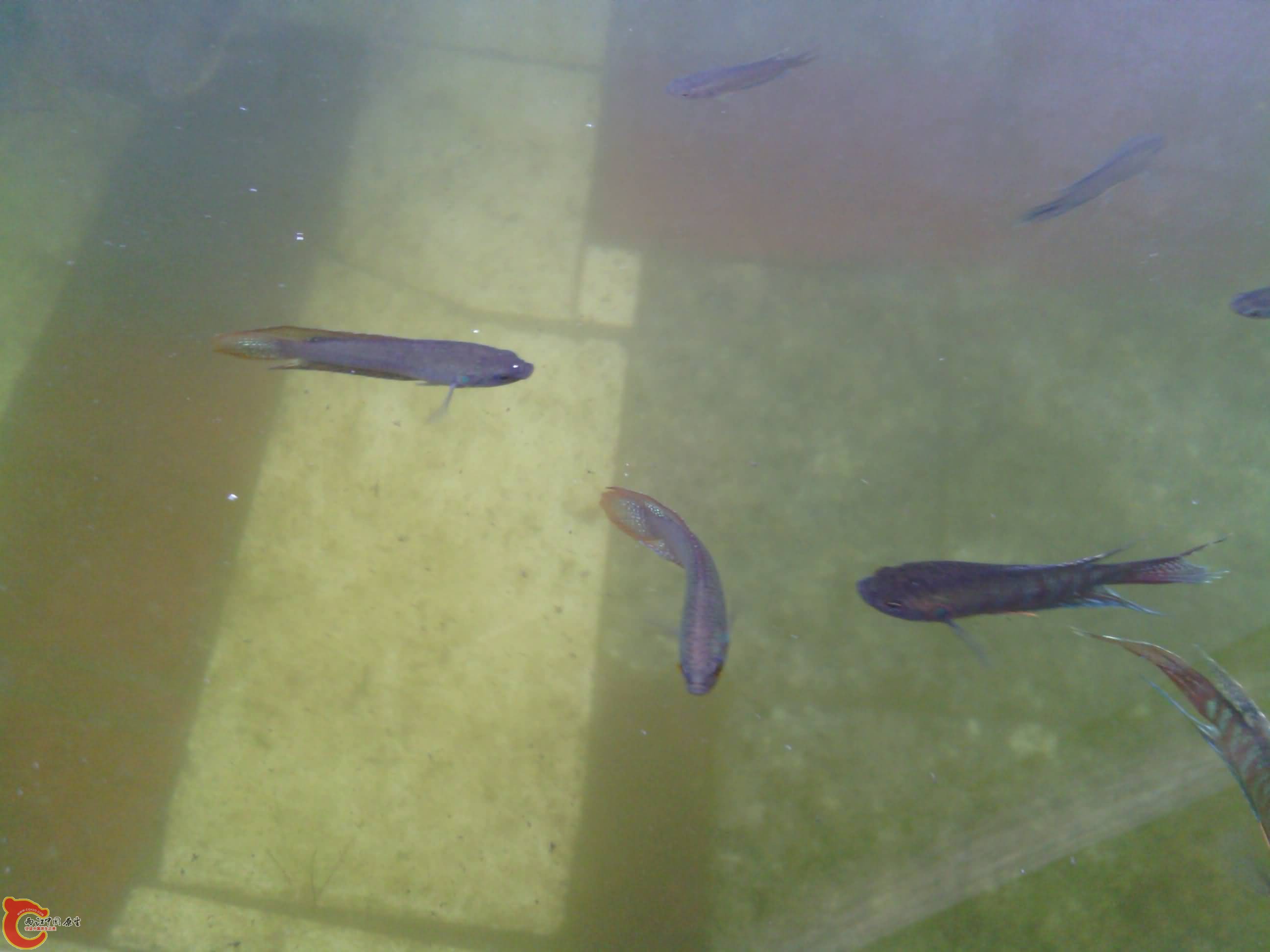 IMG_20130809_155107.jpg