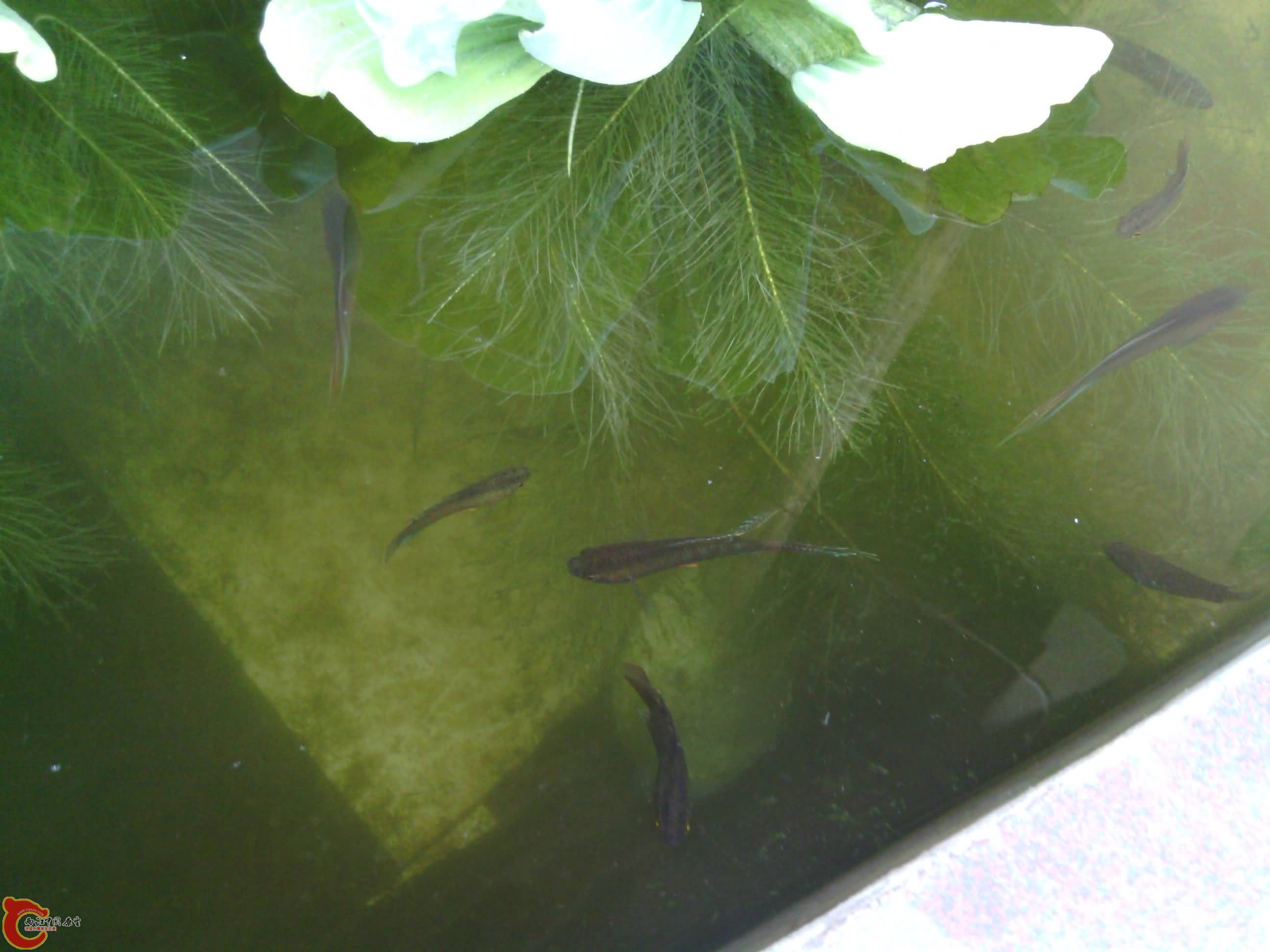 IMG_20130809_155143.jpg
