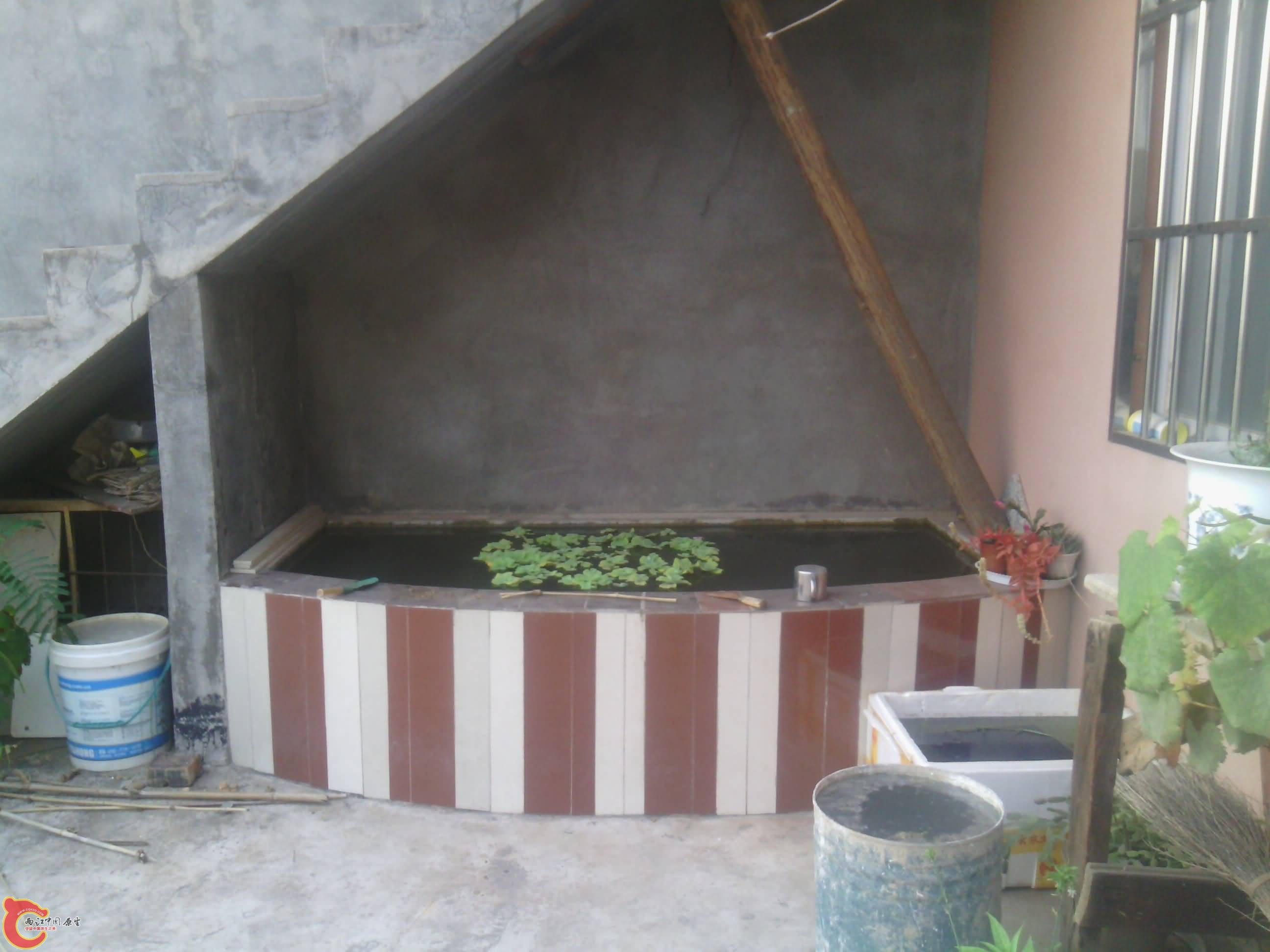 IMG_20131015_174435.jpg