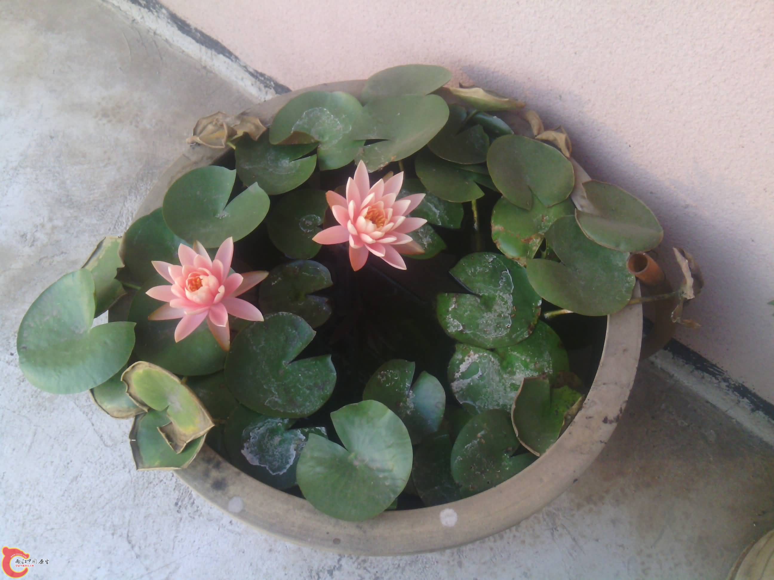 IMG_20131015_174455.jpg