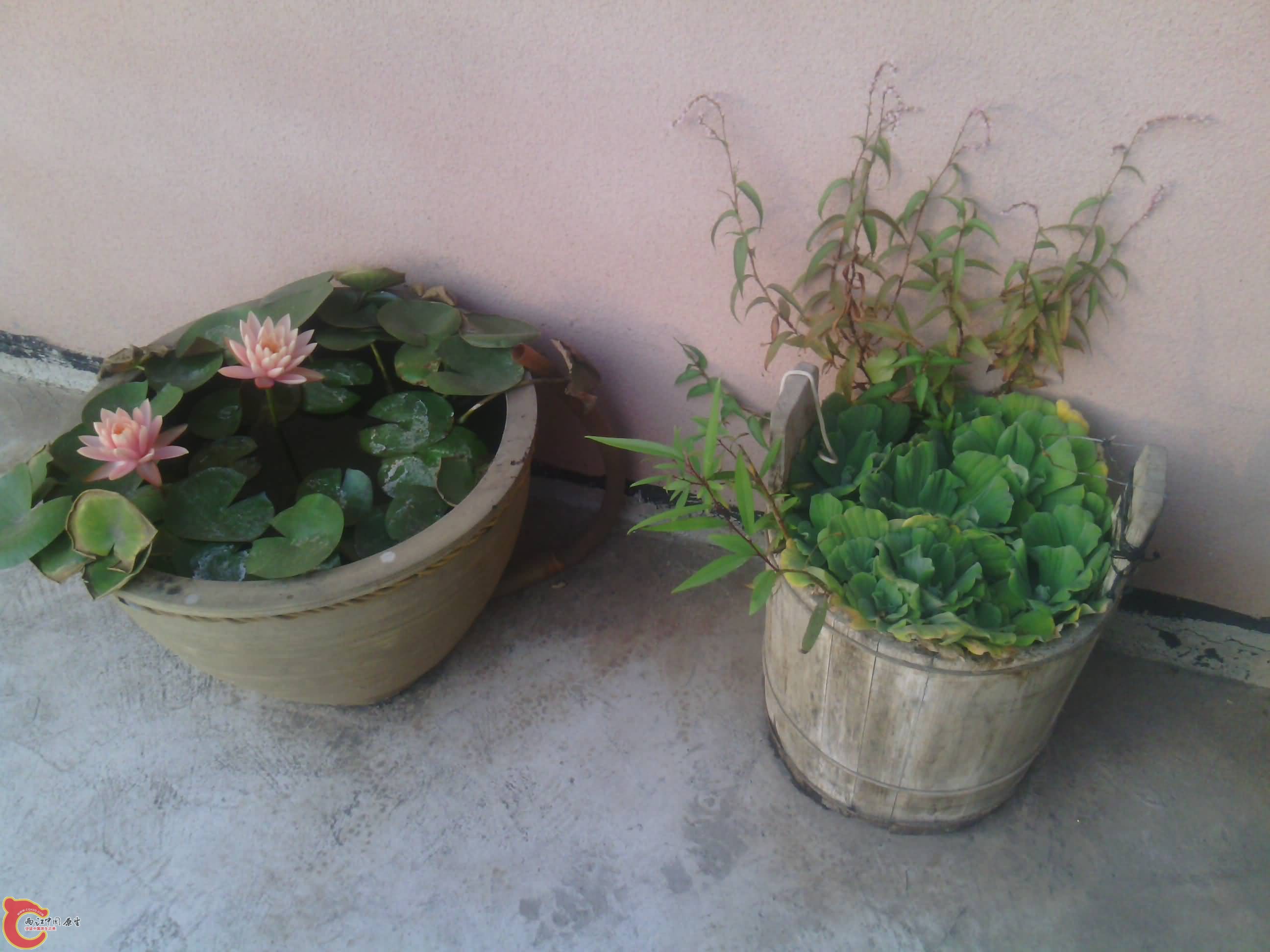 IMG_20131015_174604.jpg