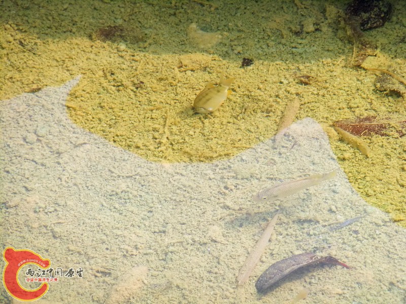 DSCF7684.JPG