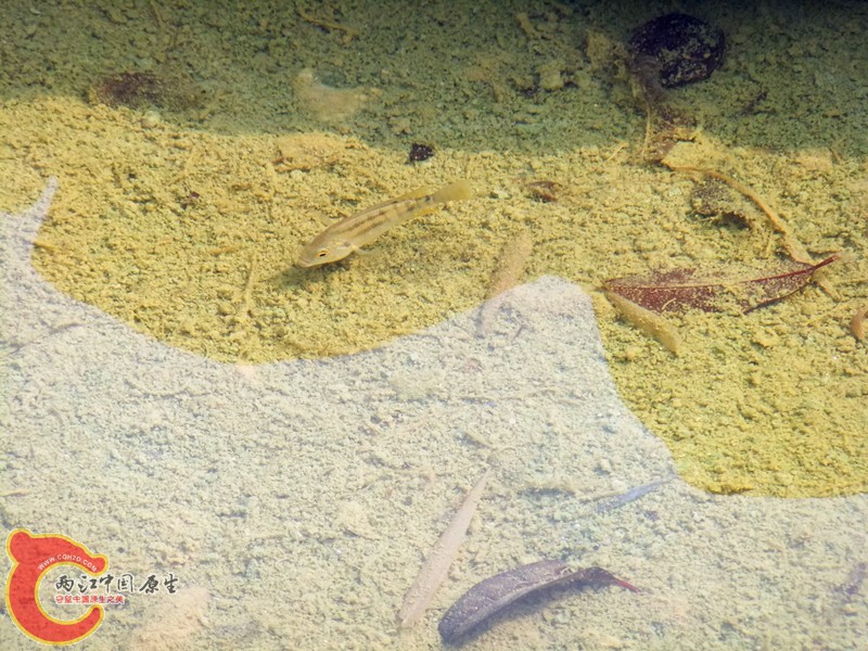 DSCF7685.JPG