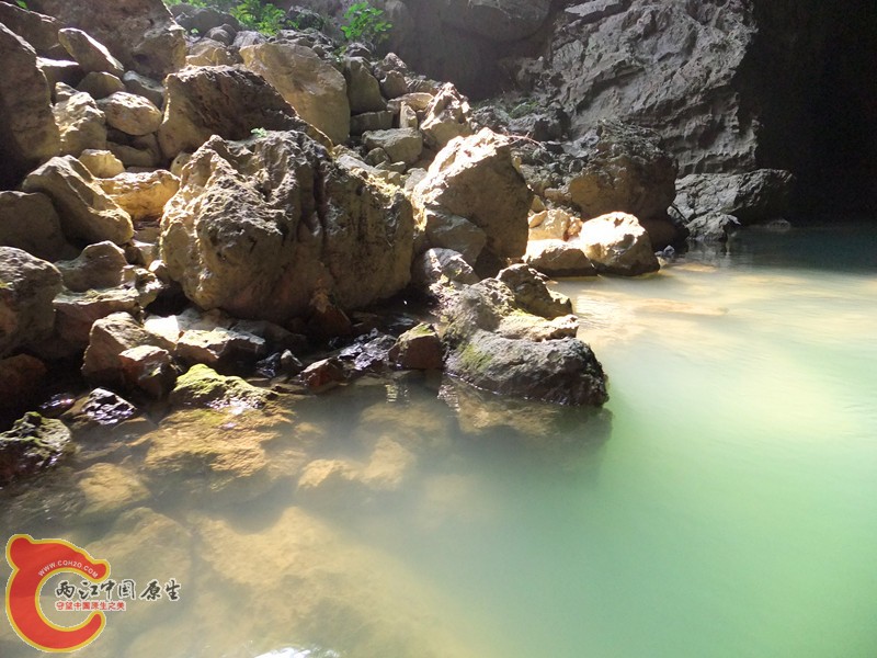 DSCF7608_副本.jpg