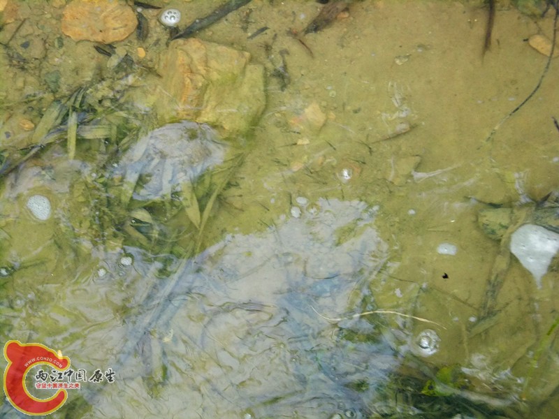 DSCF7493_副本.jpg