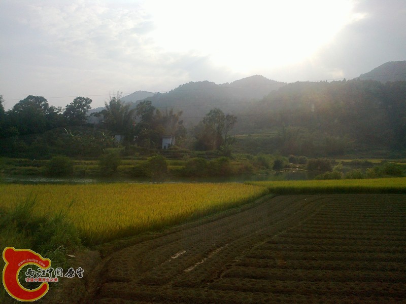 20131012784_副本.jpg