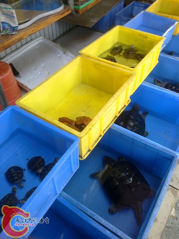 20131015791_副本.jpg