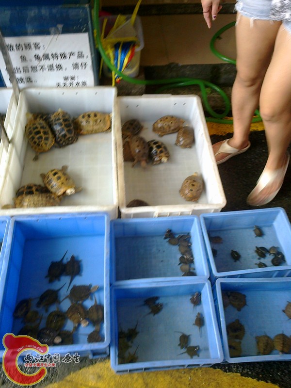 20131015796_副本.jpg
